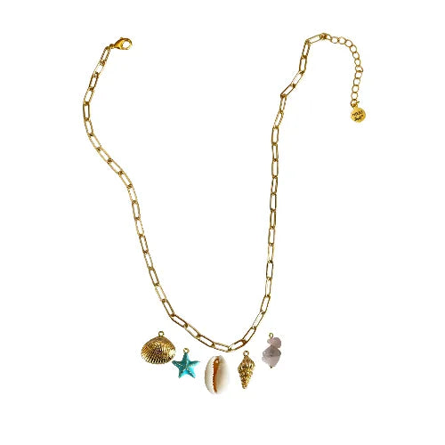 Custom Charm Necklace - Customer's Product with price 44.00 ID SkTCPOBQHU-kALXj2TusN9Pe